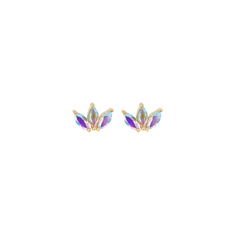 2026_05_04_2369110