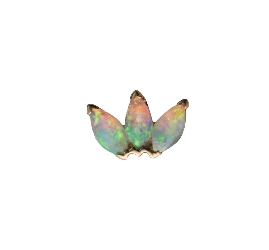 identitybodypiercing202605031447472163976